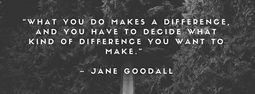 Citas para el Day-image3